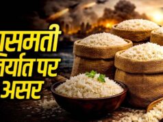 MP से बासमती का निर्यात ठप, समुद्र में फंसा चावल, किसानों और व्यापारियों की बढ़ी चिंता