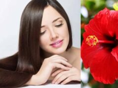 खूबसूरत त्वचा और घने बालों का प्राकृतिक मंत्र: गुड़हल के चमत्कारी फायदे