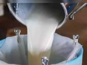 दूध में यूरिया, डिटर्जेंट और पानी की मिलावट, FSSAI रिपोर्ट में टॉप डेयरी ब्रांड्स हुए फेल