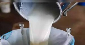 दूध में यूरिया, डिटर्जेंट और पानी की मिलावट, FSSAI रिपोर्ट में टॉप डेयरी ब्रांड्स हुए फेल