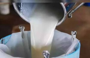दूध में यूरिया, डिटर्जेंट और पानी की मिलावट, FSSAI रिपोर्ट में टॉप डेयरी ब्रांड्स हुए फेल