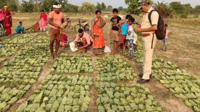 Chhattisgarh_News_08-3-1.jpg