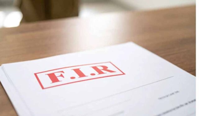 fir.jpg