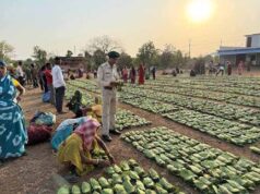 बस्तर में तेंदूपत्ता खरीदी का नया रिकॉर्ड, फिर भी 50 हजार संग्राहकों ने नहीं किया संग्रहण कार्य