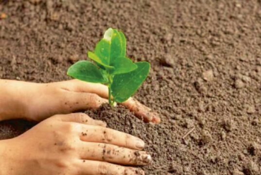 एक पेड़ मां के नाम 3.0’ अंतर्गत राज्यभर में पहले ही दिन 6 लाख पौधों का रोपण किया जाएगा