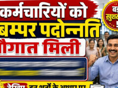 10 साल बाद MSME विभाग में 217 कर्मचारियों को प्रमोशन, 116 नए पदों पर भर्ती का भी रास्ता साफ
