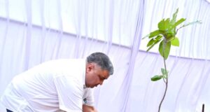 “एक पेड़ माँ के नाम” अभियान के तहत मंत्री राजेश अग्रवाल ने नवीन विधानसभा परिसर में लगाया पौधा