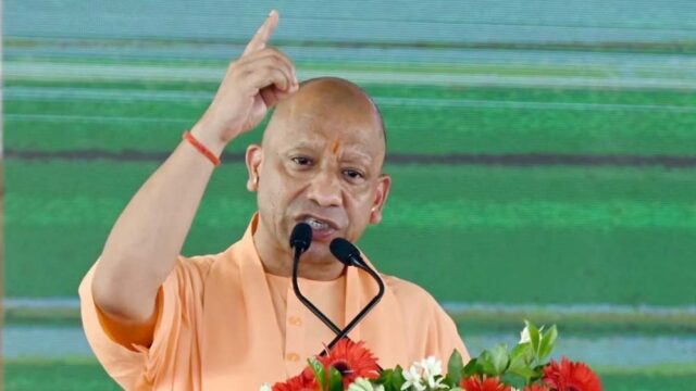 cm_yogi_11-6.jpg