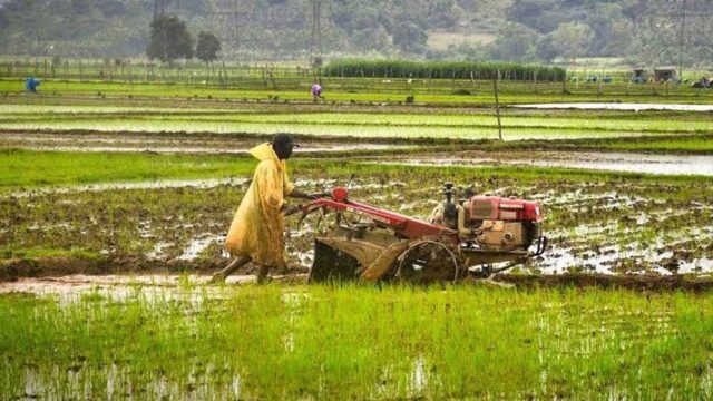 kISAN_02-4.jpg