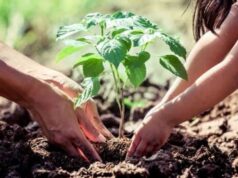 एक पेड़ मां के नाम 3.0′ से हरित चेतना को मिलेगा नया विस्तार, जुलाई में विद्यालयों में पर्यावरण संरक्षण का महाअभियान