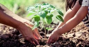 एक पेड़ मां के नाम 3.0′ से हरित चेतना को मिलेगा नया विस्तार, जुलाई में विद्यालयों में पर्यावरण संरक्षण का महाअभियान