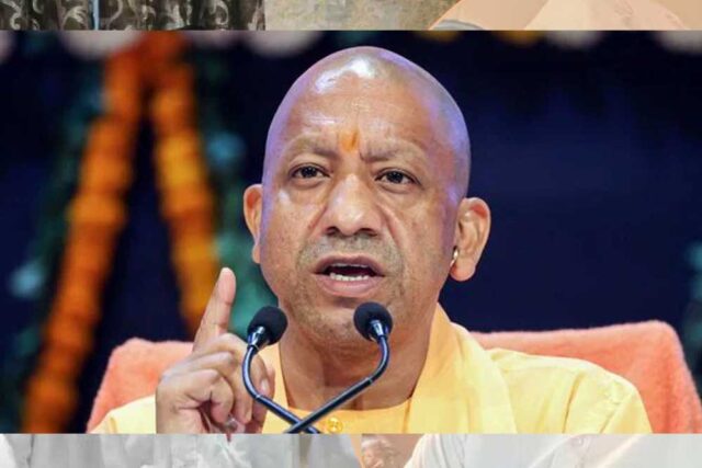 yogi_89_1-4.jpg