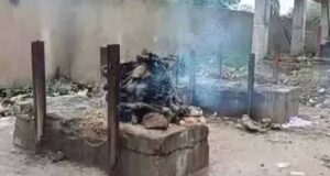 Bilaspur के मुक्तिधाम में कुत्तों का अंतिम संस्कार, लापरवाही पर टास्क कर्मी हटाया