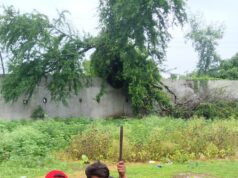 फुंडहर में “एक पेड़ माँ के नाम” अभियान के तहत सैकड़ो पौधे रोपे गए