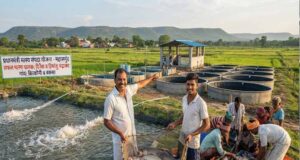 प्रधानमंत्री मत्स्य संपदा योजना ने बदली किसानों की किस्मत, मछली पालन बना अतिरिक्त आमदनी का मजबूत जरिया