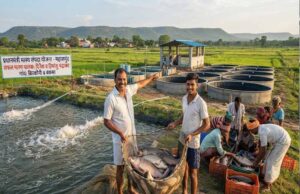 प्रधानमंत्री मत्स्य संपदा योजना ने बदली किसानों की किस्मत, मछली पालन बना अतिरिक्त आमदनी का मजबूत जरिया