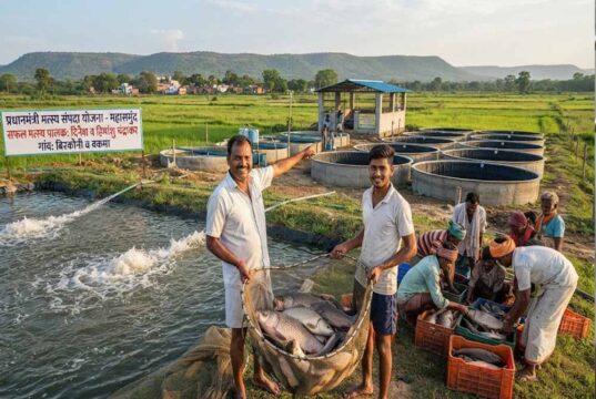 प्रधानमंत्री मत्स्य संपदा योजना ने बदली किसानों की किस्मत, मछली पालन बना अतिरिक्त आमदनी का मजबूत जरिया