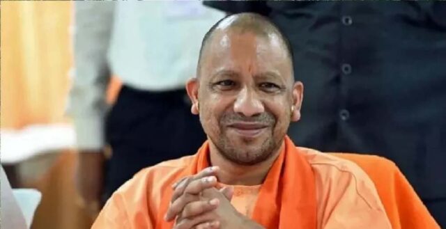 yogi_2_27_2-1.jpg